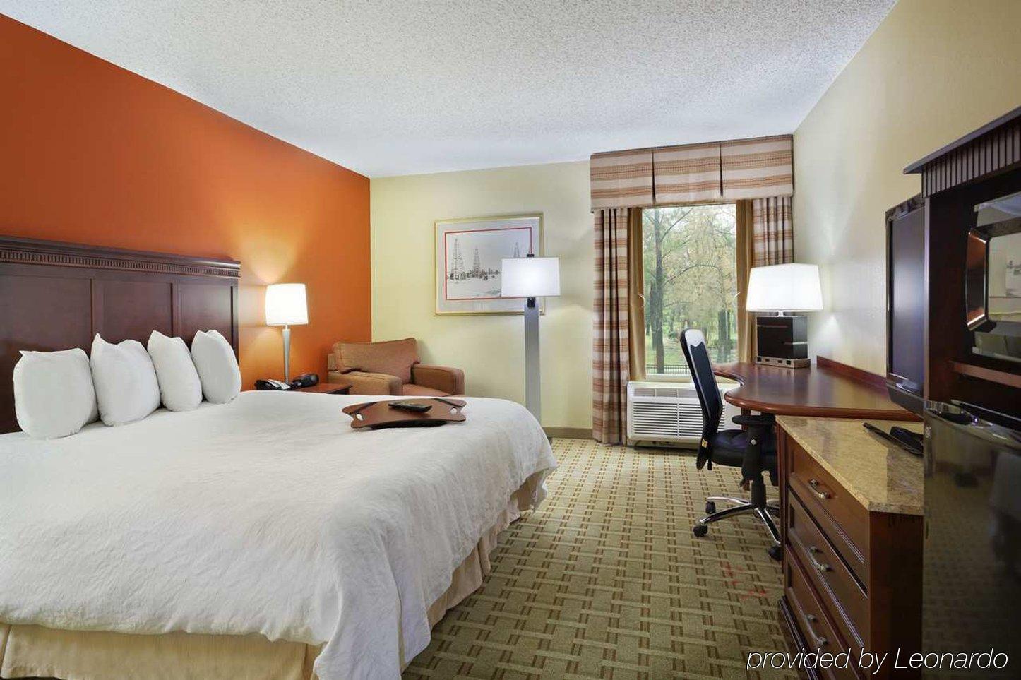 Hampton Inn Houston Near The Galleria Экстерьер фото